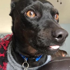 Meet your Posher, Stacie